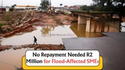 R2 Million Non-Repayable Grant: SEDA Invites SA SMEs to Apply for 2025