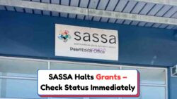 Here’s What You Need to Know About over 210,000 sassa grants temporarily blocked – Check If You’re Affected